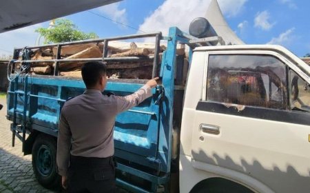 Truk Pengangkut Kayu Diamankan dalam Pengungkapan Kasus