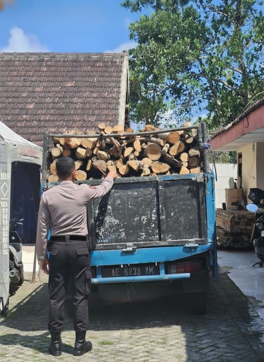 Penindakan Pembalakan Hutan Berhasil Dilakukan Polisi