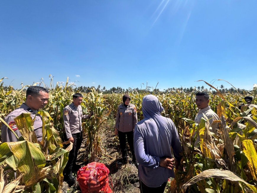 Dari Lahan ke Masyarakat, Polisi Malang Kawal Rantai Pangan