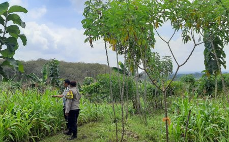 Polres Malang Dorong Lahan Produktif Terus Digarap untuk Ketahanan Pangan