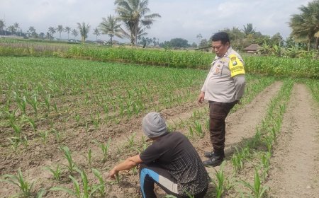 Dari Desa, Polres Malang Ikut Menjaga Rantai Pangan