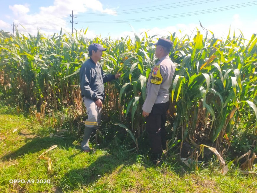 Polisi Hadir di Tengah Petani, Jaga Rantai Pangan Tetap Berjalan