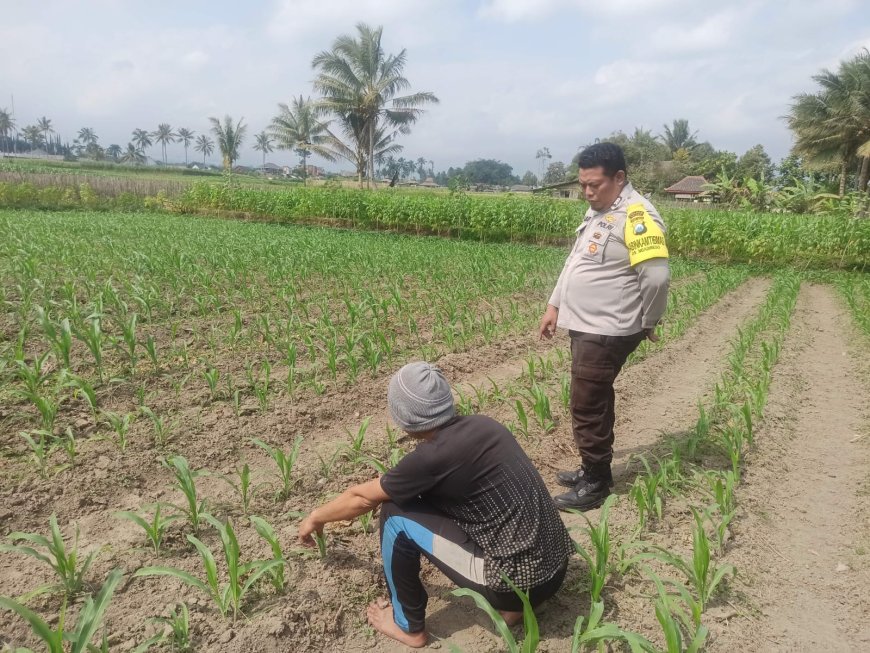 Dari Desa, Polres Malang Ikut Menjaga Rantai Pangan